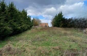 Eladó Pilisszentiváni egyéb telek hirdetés (35453459)