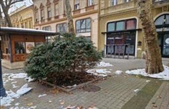 Kiadó Kaposvári telephely hirdetés (17132423)