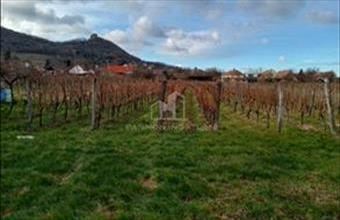 Eladó Dobai termőföld, szántó hirdetés (94399975)