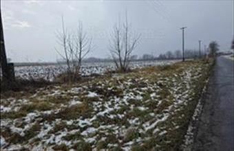 Eladó Peresztegi egyéb mezőgazdasági ingatlan hirdetés (37798844)