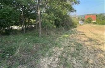 Eladó Balatoncsicsói egyéb mezőgazdasági ingatlan hirdetés (37613947)