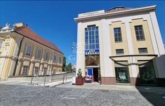 Kiadó Székesfehérvári egyéb üzlethelyiség hirdetés (61747464)