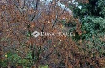 Eladó Budapest II. kerületi tégla lakás hirdetés (48495529)