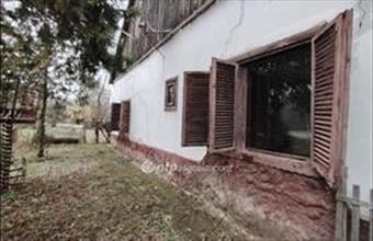 Eladó Derekegyházi tanya hirdetés (39399221)