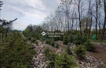 Eladó Jászberényi lakóövezeti telek hirdetés (58233763)