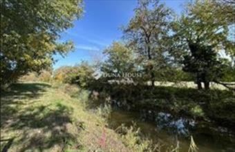 Eladó Dömsödi üdülőövezeti telek hirdetés (86742486)