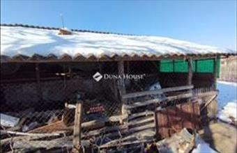 Eladó Ásotthalomi családi ház hirdetés (62566332)