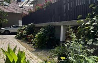 Eladó Csobánkai családi ház hirdetés (37532353)