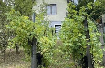 Eladó Pilisvörösvári családi ház hirdetés (72969659)