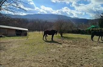 Eladó Pilisszentiváni egyéb telek hirdetés (81424546)