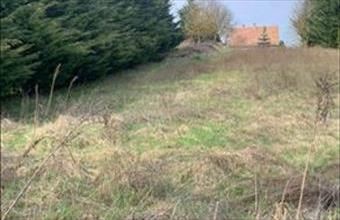 Eladó Pilisszentiváni egyéb telek hirdetés (64489994)