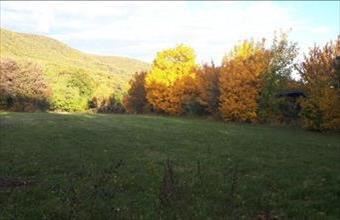 Eladó Pilisszentkereszti egyéb telek hirdetés (82374649)