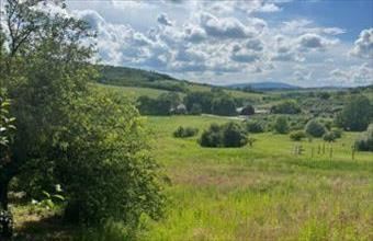 Eladó Piliscsabai egyéb telek hirdetés (87849123)