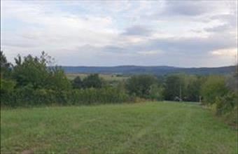 Eladó Pilisszántói egyéb telek hirdetés (33874359)