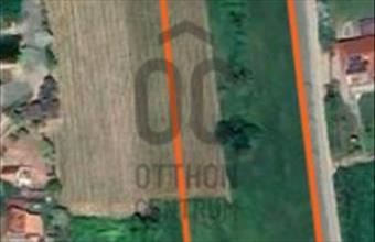 Eladó Szekszárdi egyéb mezőgazdasági ingatlan hirdetés (32488133)