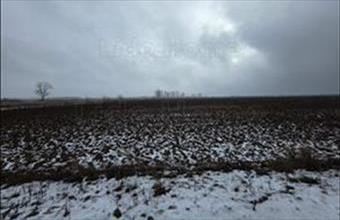 Eladó Peresztegi egyéb mezőgazdasági ingatlan hirdetés (46534434)