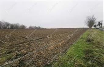 Eladó Sármelléki termőföld, szántó hirdetés (49235587)