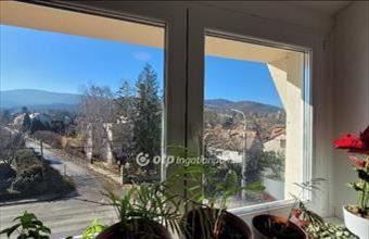 Eladó Dunabogdányi családi ház hirdetés (24397968)