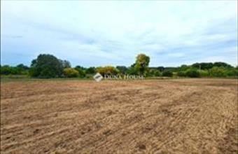 Eladó Tápiószecsői külterületi telek hirdetés (63373936)