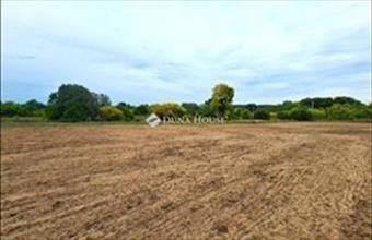 Eladó Tápiószecsői külterületi telek hirdetés (94693395)