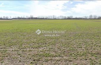 Eladó Monori külterületi telek hirdetés (34977794)