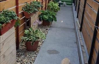 Eladó Budapest XX. kerületi tégla lakás hirdetés (26673988)