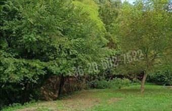 Eladó Zebegényi egyéb telek hirdetés (36289931)