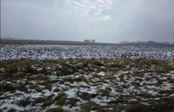 Eladó Peresztegi egyéb mezőgazdasági ingatlan hirdetés (45282711)