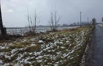 Eladó Peresztegi egyéb mezőgazdasági ingatlan hirdetés (45282711)