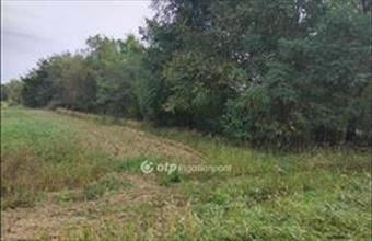 Eladó Vönöcki lakóövezeti telek hirdetés (42427633)