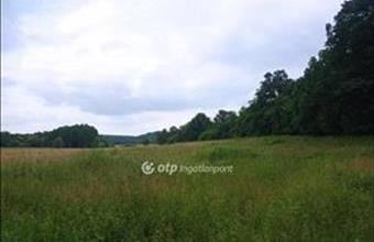 Eladó Vönöcki lakóövezeti telek hirdetés (24431153)