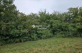 Eladó Marcali külterületi telek hirdetés (99427384)