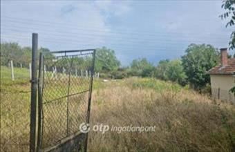 Eladó Budakalászi egyéb telek hirdetés (33334429)