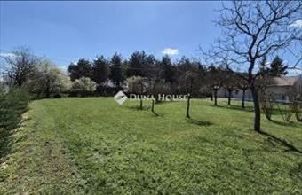 Eladó Kecskeméti családi ház hirdetés (33245454)