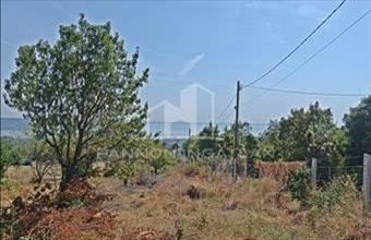 Eladó Balatonalmádi zártkert hirdetés (37554731)