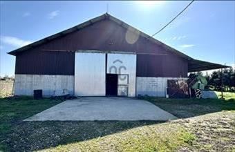 Eladó Berekböszörményi egyéb mezőgazdasági ingatlan hirdetés (27374447)