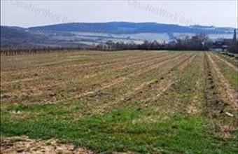 Eladó Szentjakabfai egyéb mezőgazdasági ingatlan hirdetés (53495275)