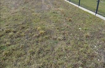 Eladó Tarjáni lakóövezeti telek hirdetés (98595472)