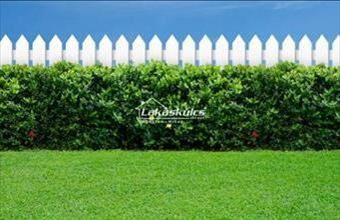 Eladó Nagyberényi lakóövezeti telek hirdetés (23432485)