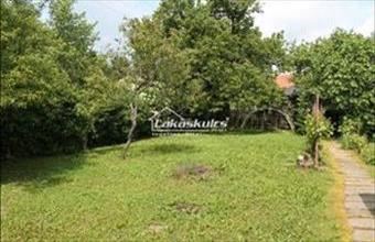 Eladó Szárligeti családi ház hirdetés (17267439)