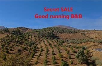 Eladó Spanyolországi tanya hirdetés (72999359)