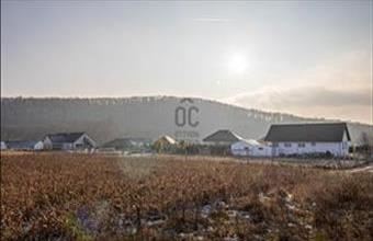 Eladó Fertőrákosi lakóövezeti telek hirdetés (75299739)