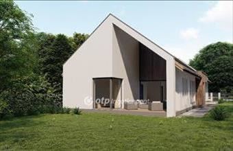 Eladó Szigetcsépi családi ház hirdetés (85977794)