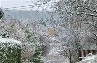 Eladó Telki családi ház hirdetés (42354733)