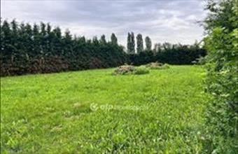 Eladó Érdi családi ház hirdetés (99395253)