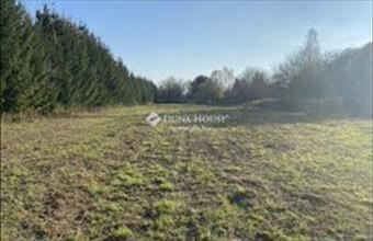 Eladó Szalafői lakóövezeti telek hirdetés (57147898)