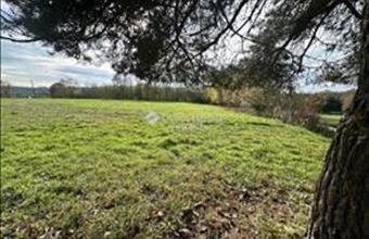 Eladó Szalafői lakóövezeti telek hirdetés (99538539)