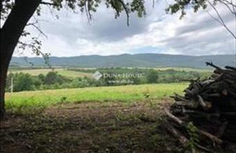 Eladó Kőszegdoroszlói családi ház hirdetés (86989537)