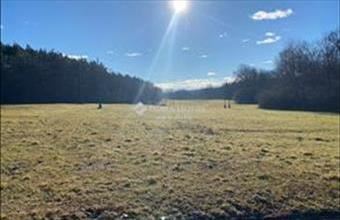 Eladó Szalafői lakóövezeti telek hirdetés (96177439)