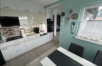 Eladó Albertirsai ikerház hirdetés (39559341)